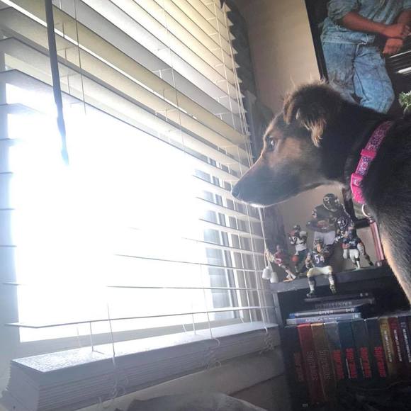 Meet your Posher, Stephen - Picture 1 of 1